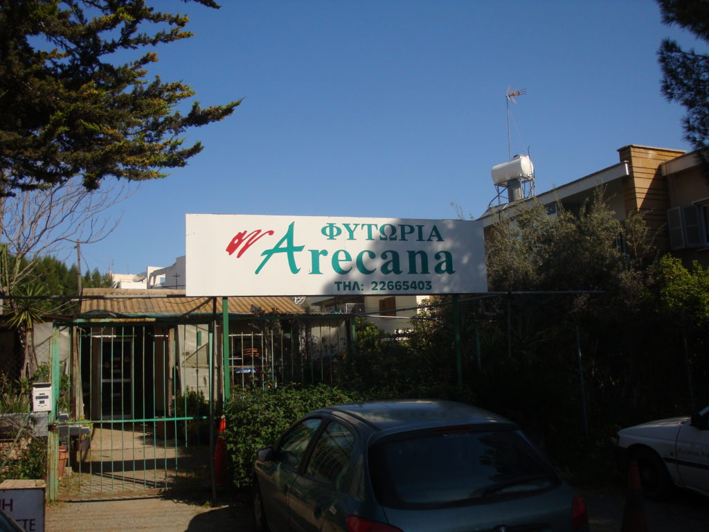 Arecana Flower Shop