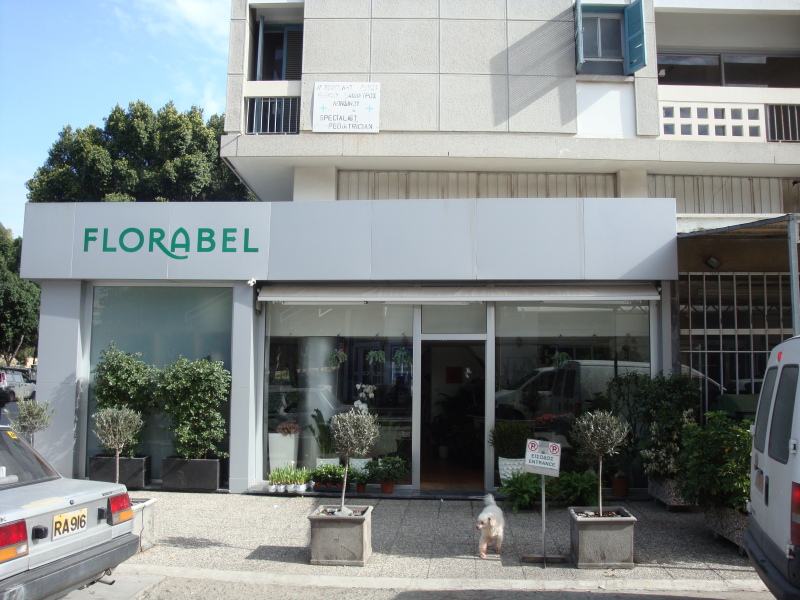Florabel Flower Shop