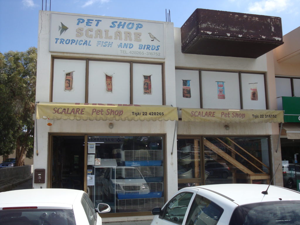 Scalare Pet Shop